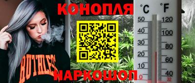 гашик Кунгур