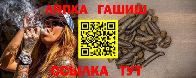 гашик Кунгур