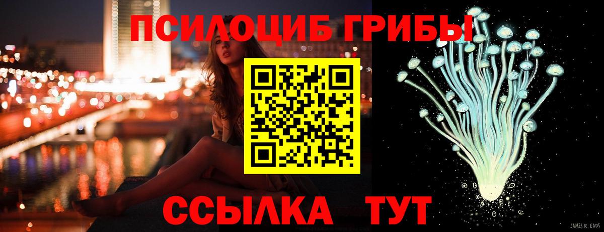 Ейск  Галлюциногенные грибы мицелий  магазин  наркотиков  Галлюциногенные грибы Psilocybine cubensis  Вход с VPN 